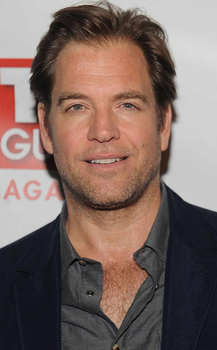 Michael Weatherly